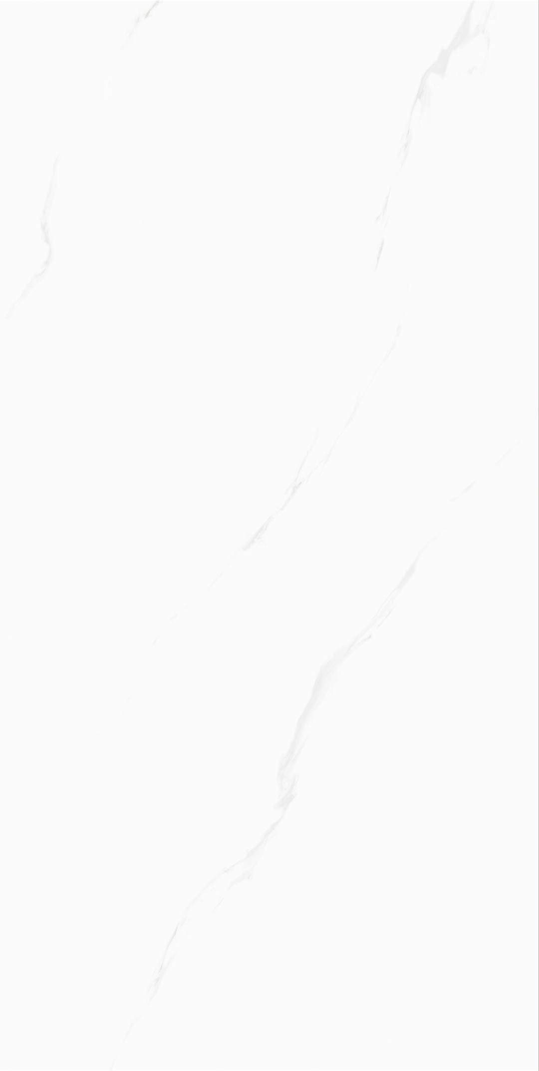 GP6211-4.jpg