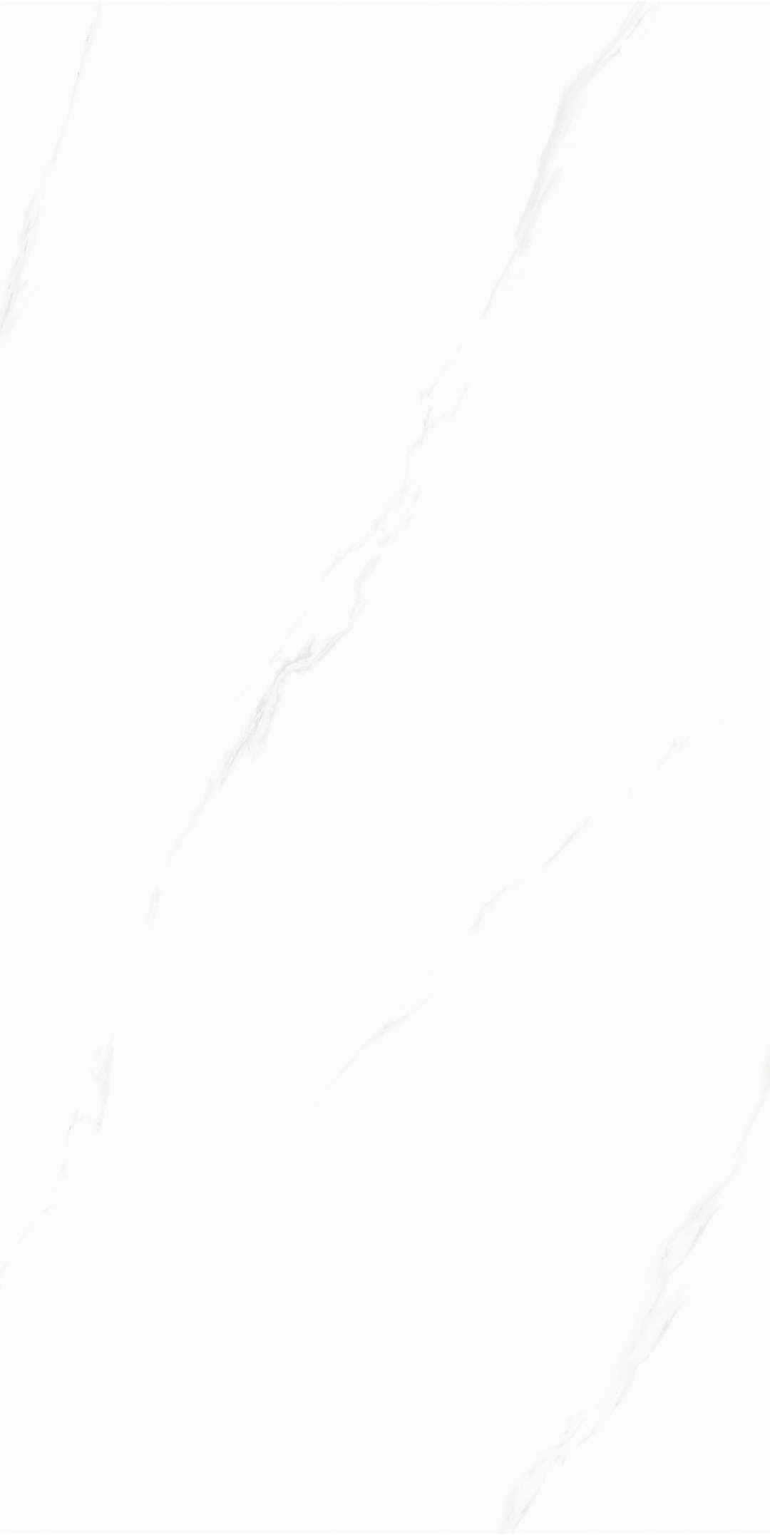 GP6211-2.jpg