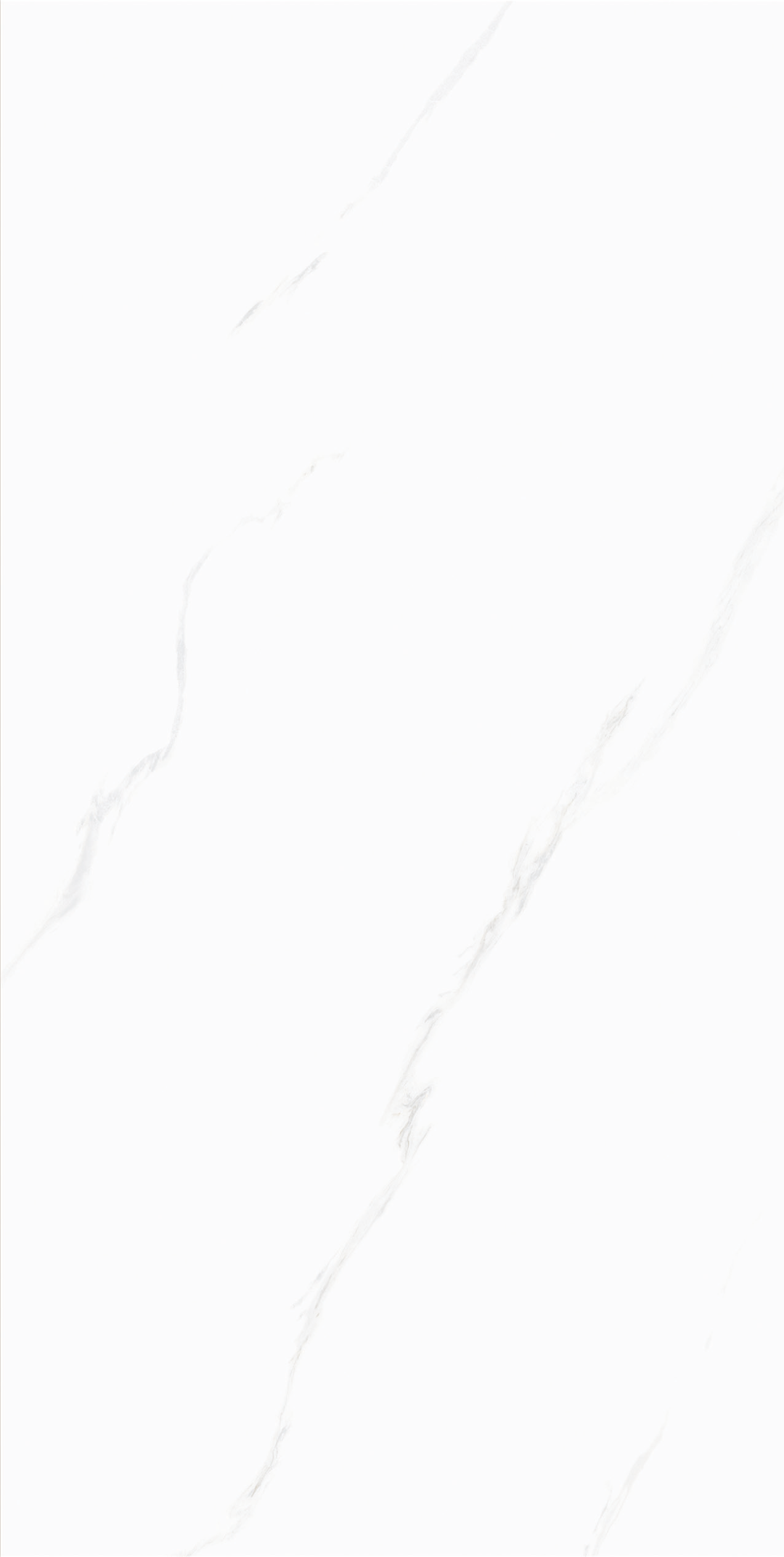 GP6211-4.jpg