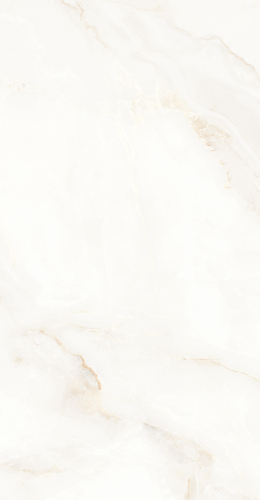 GY48852 (3).png