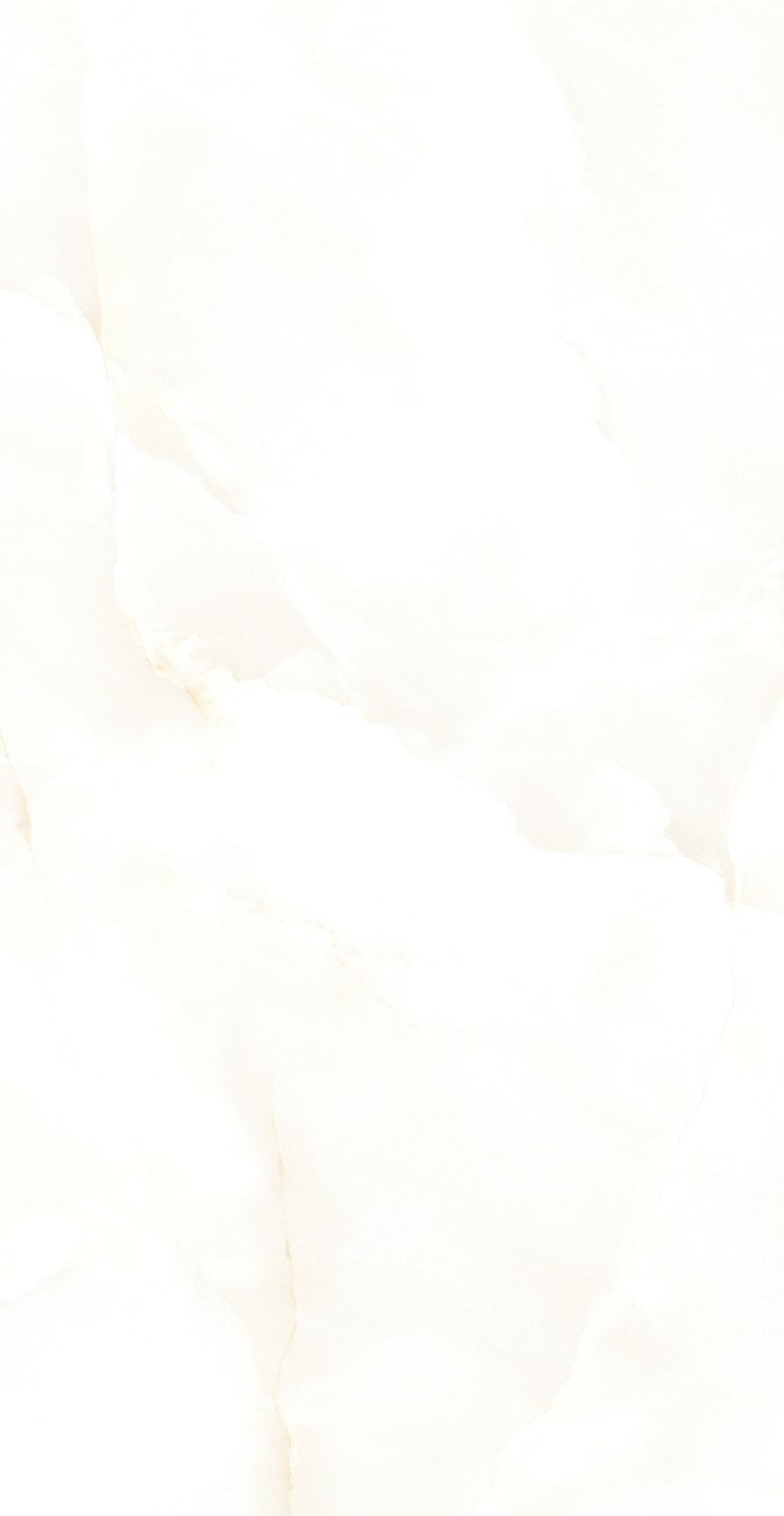 GY48851 (3).png