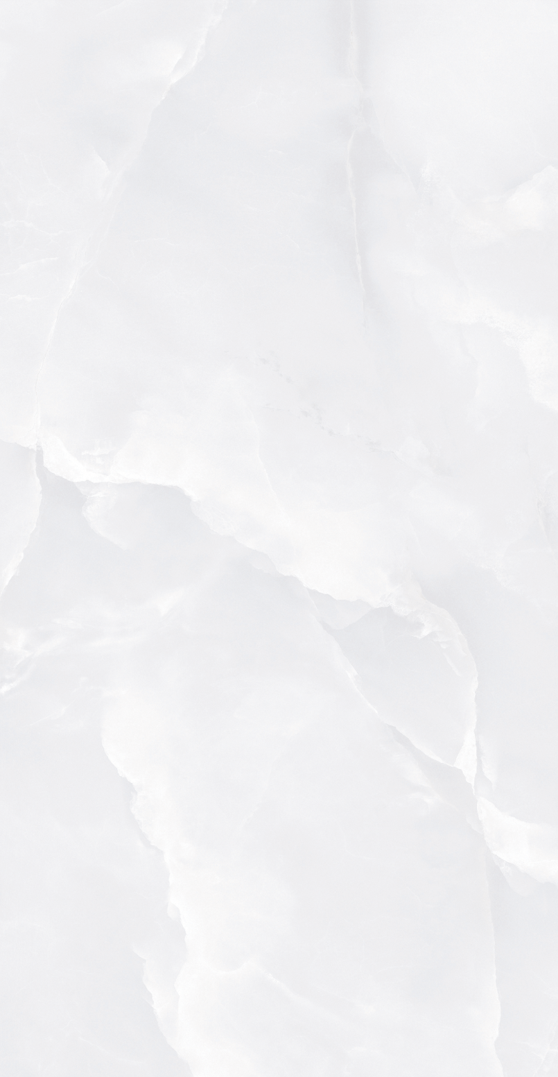 GY48853 (2).png