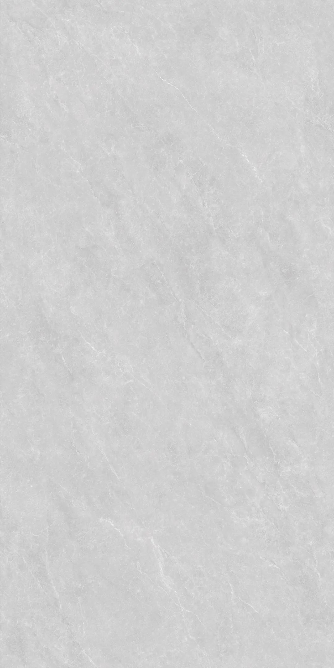 GY48854 (4).png