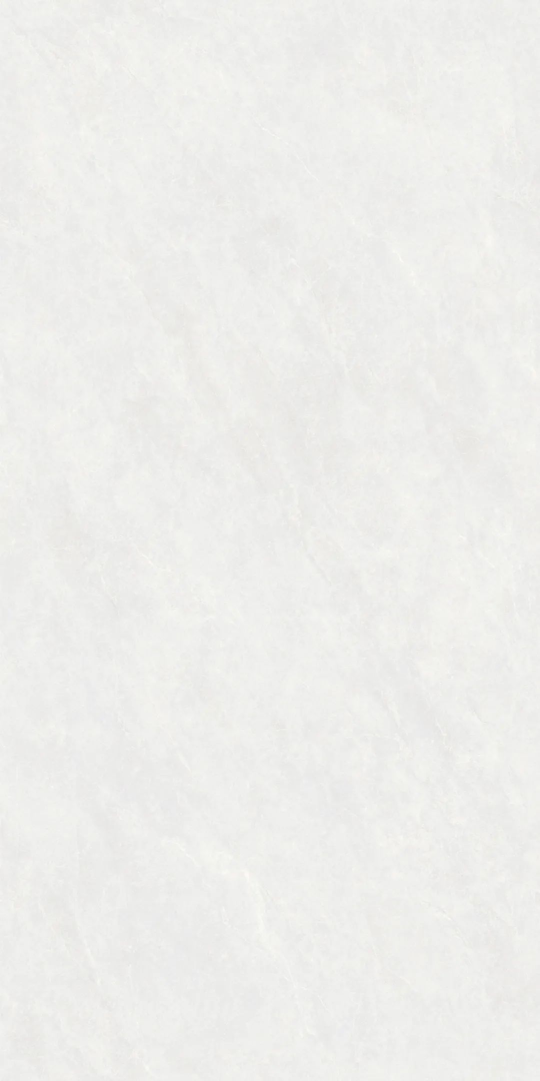 GY48852 (3).png