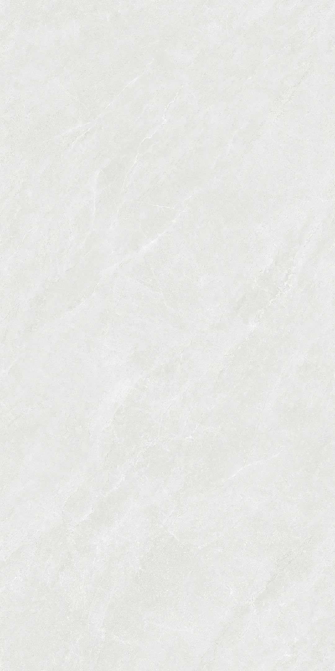 GY48855 (2).jpg