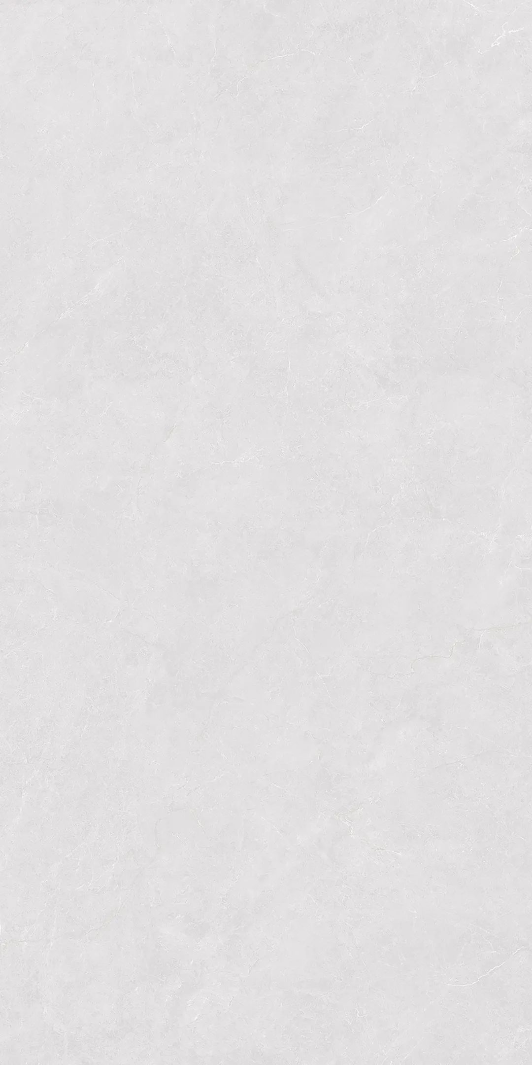 GY48853 (2).png