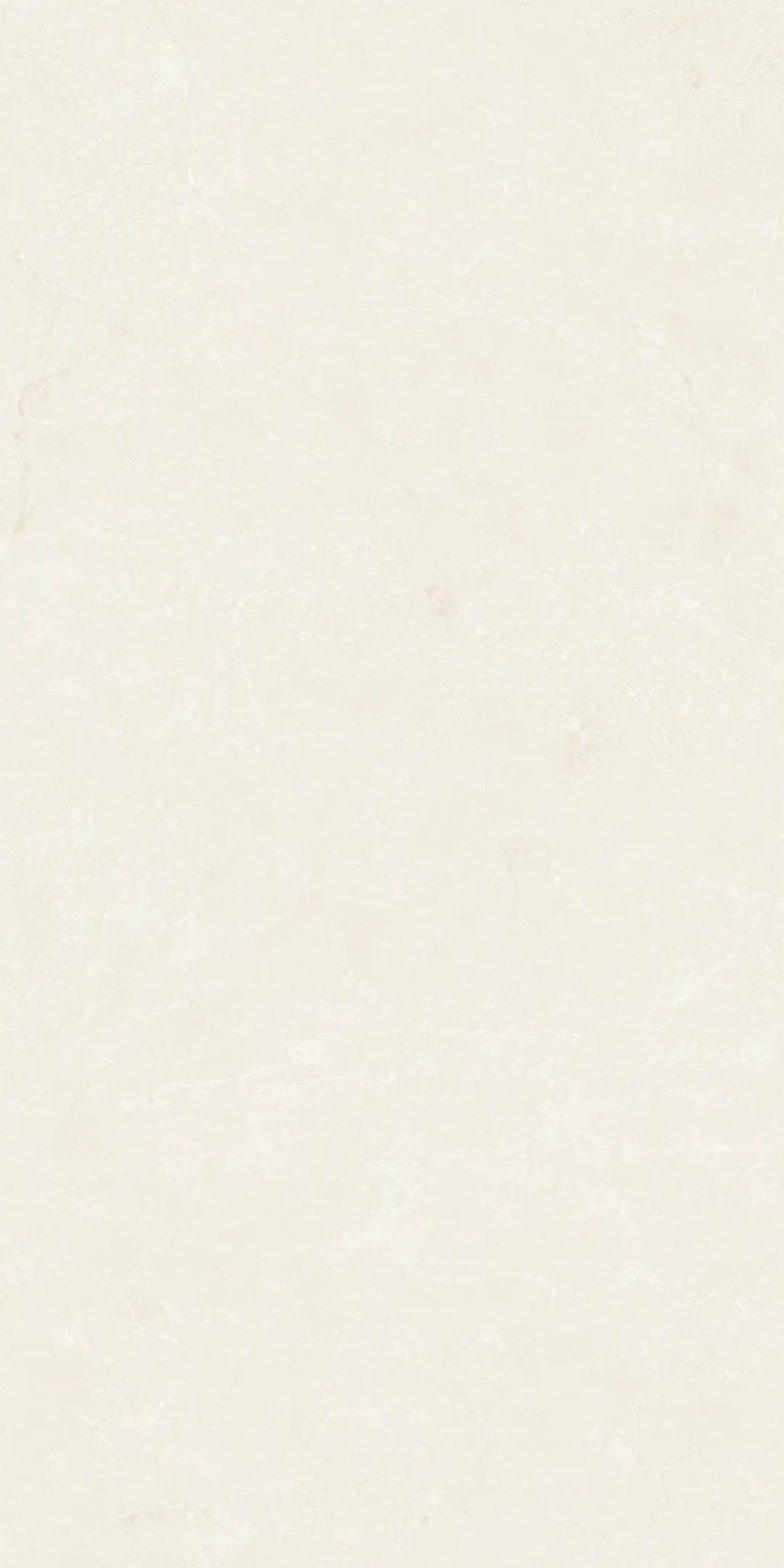 GY48851 (3).png